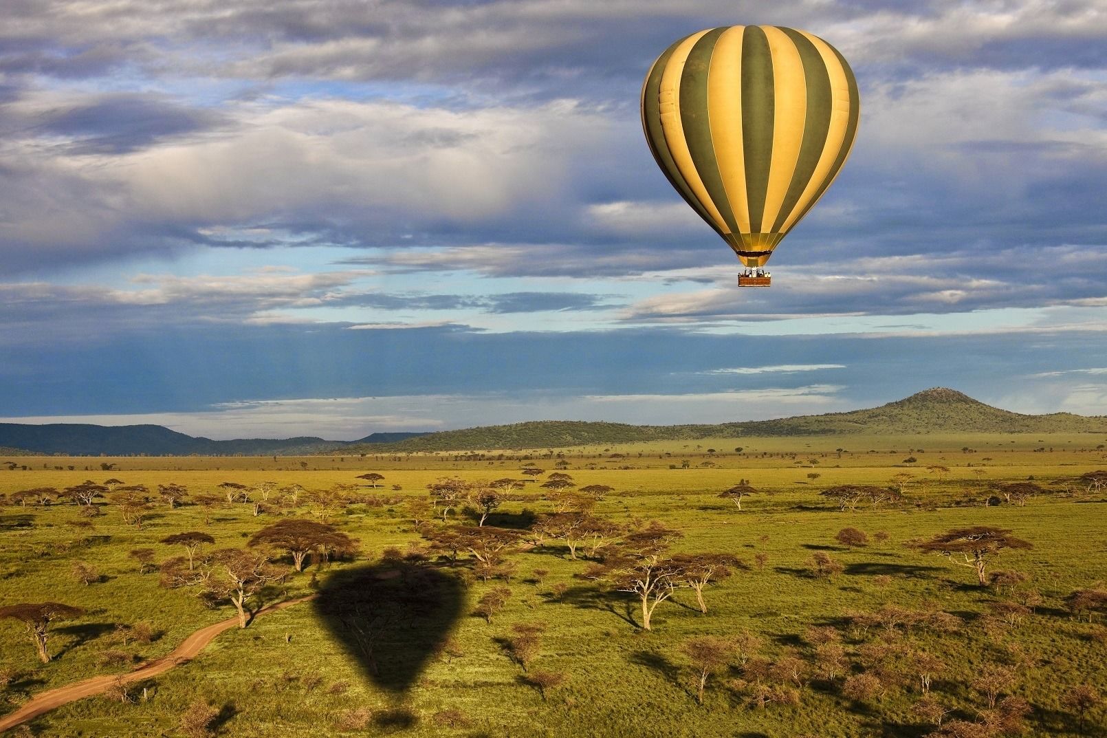 balloon safari photos